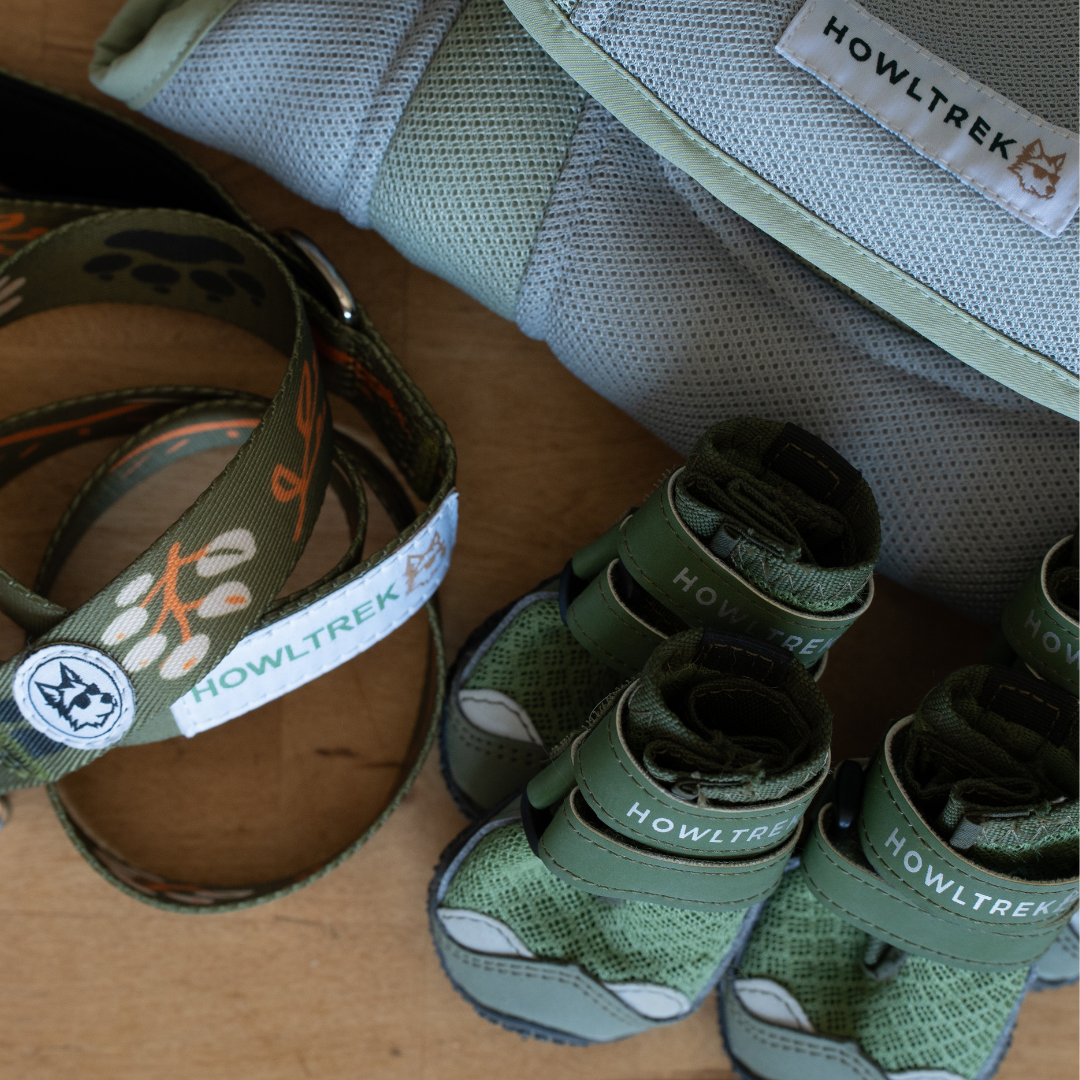 Coolaroo Summer Adventure Bundle