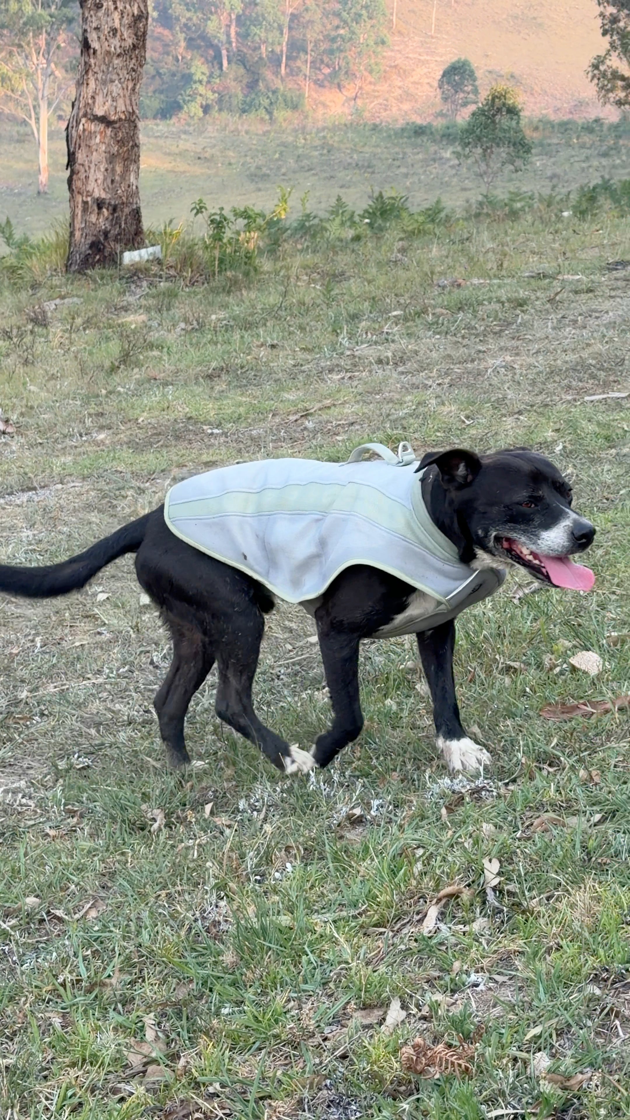 Coolaroo Evaporative Cooling Vest.