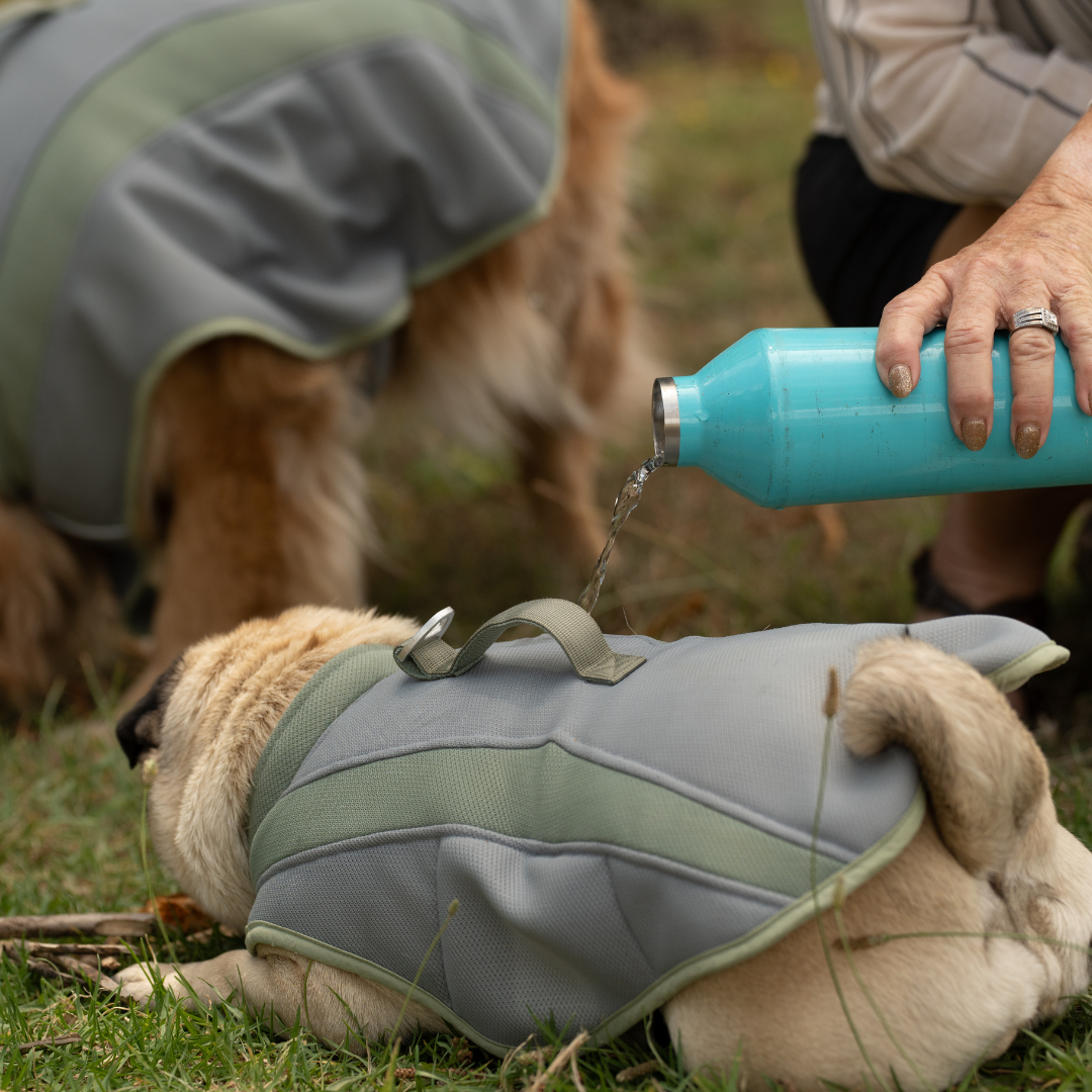 Coolaroo Evaporative Cooling Vest.