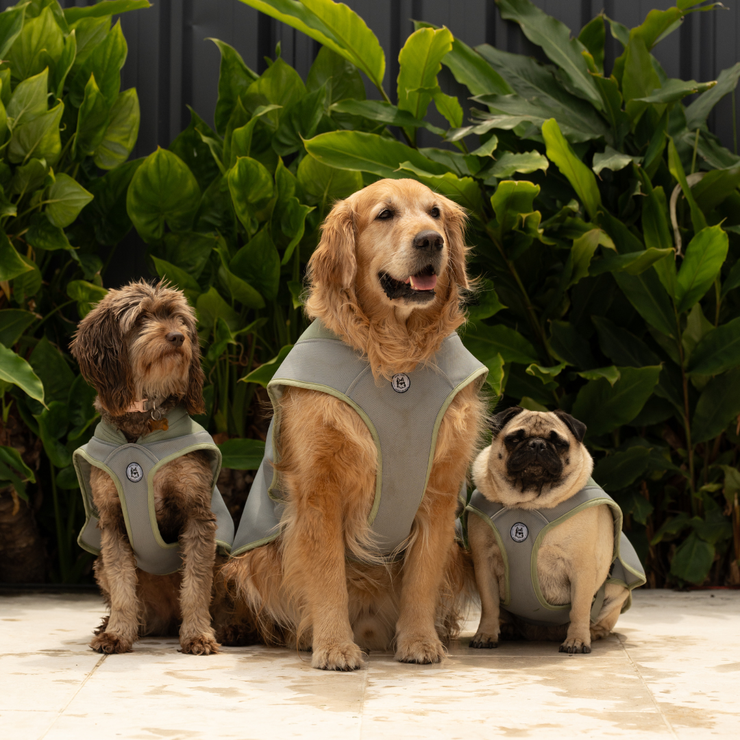 Coolaroo Evaporative Cooling Vest.