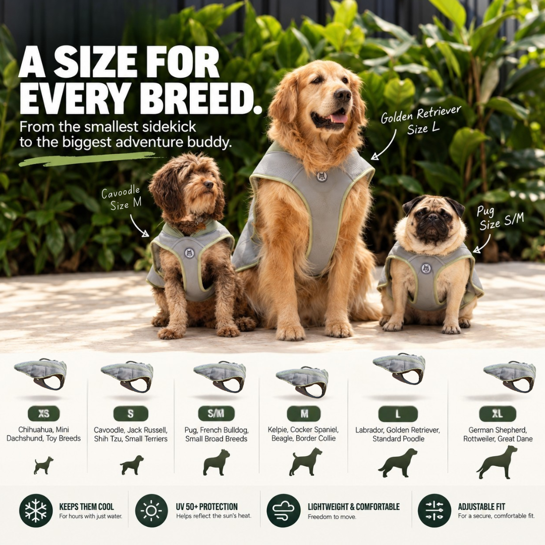 Three dogs wearing pet harnesses are shown outdoors on a patio with greenery behind them, alongside labeled size examples for different dog breeds and a row of small product thumbnails with fit notes. Because animals are present, this is classified as Lifestyle rather than Product/Packaging, even though the layout is informative.