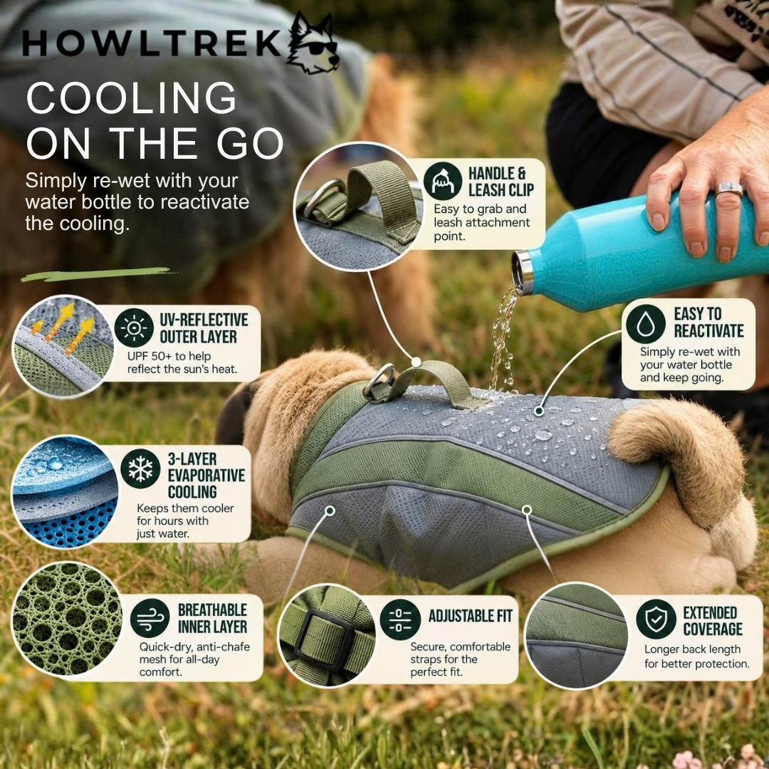 Cooling on the go Rewetting with water bottle