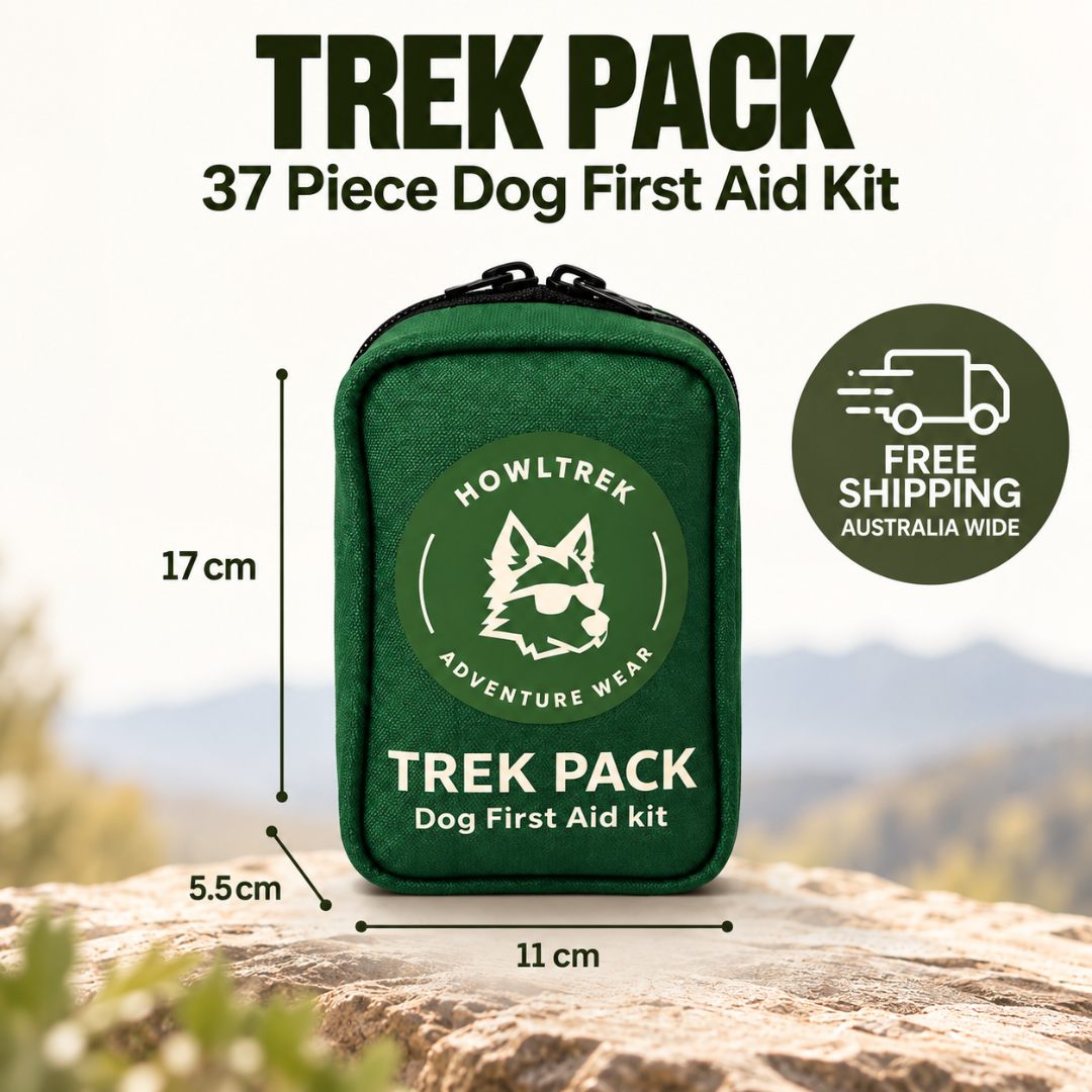 A green dog first aid kit pouch labeled 'TREK PACK' stands on a rock outdoors, with dimension markers showing 17 cm height, 11 cm width, and 5.5 cm depth.