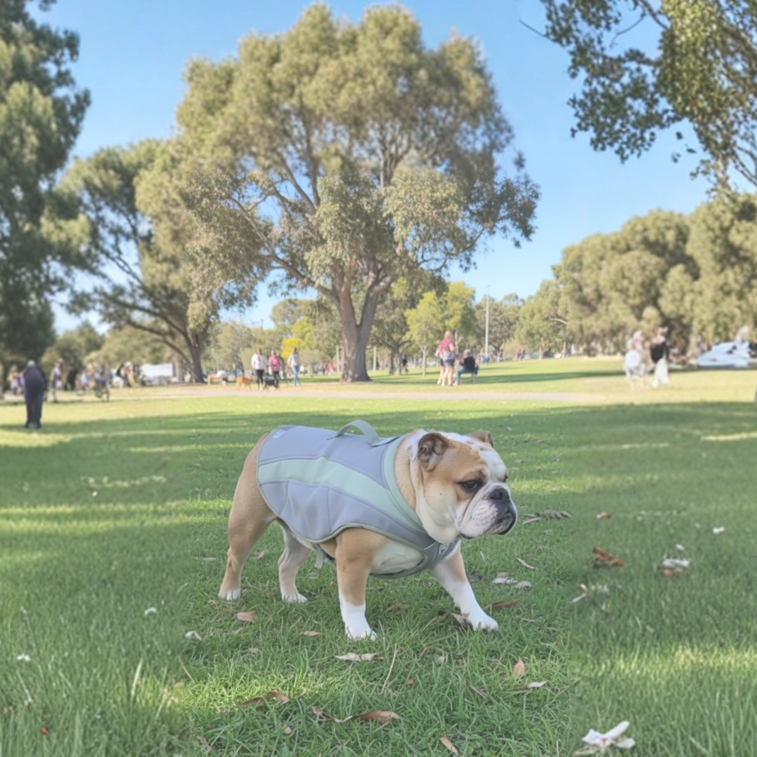 Coolaroo Evaporative Cooling Vest.