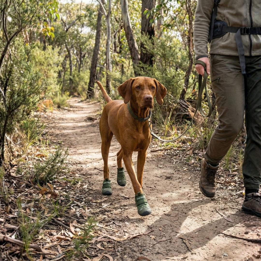 All Terrain Boots