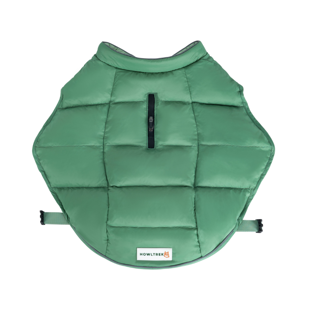The Brumby Puffer