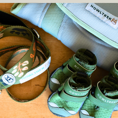 Summer Adventure Bundle