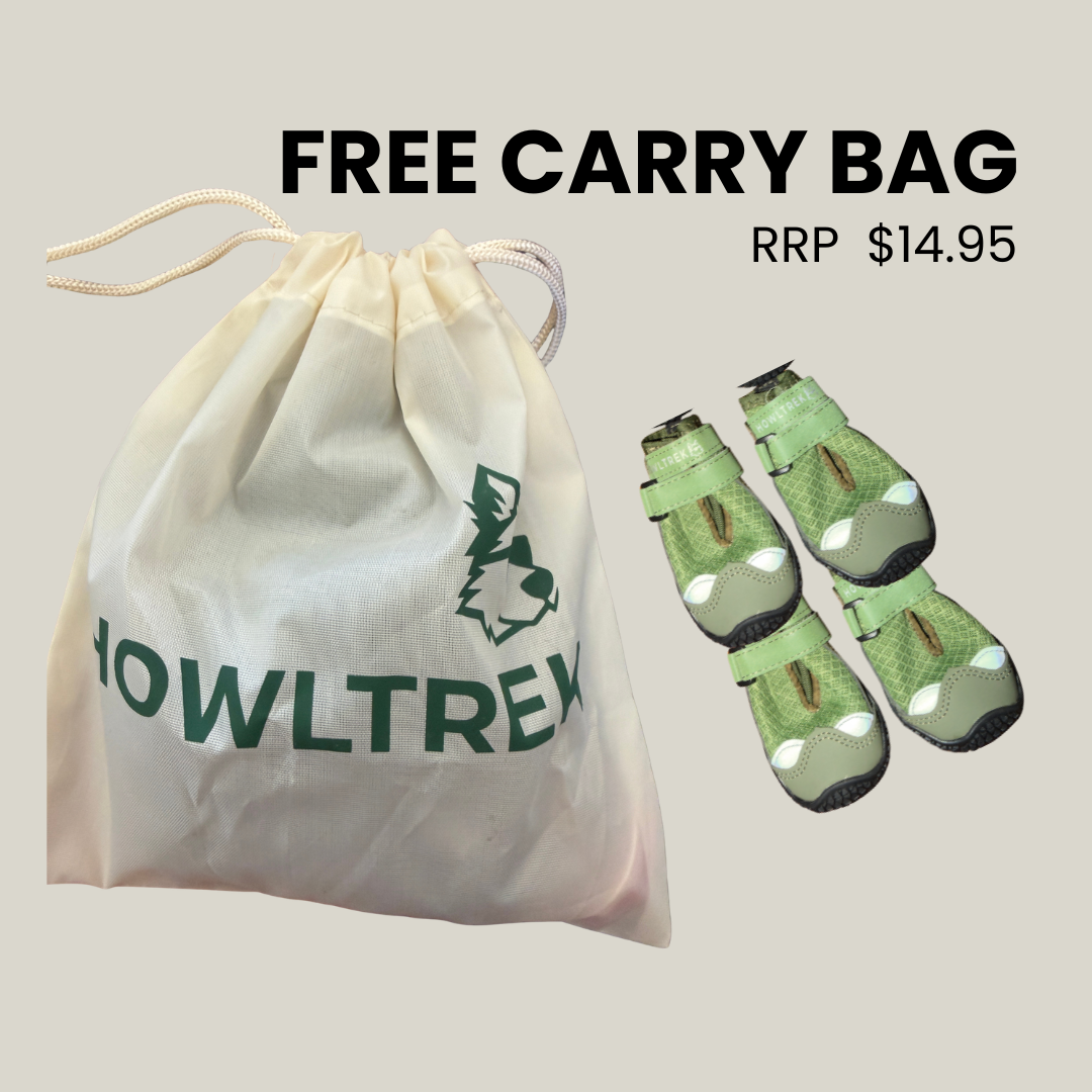 FREE Nylon Drawstring Carry Bag