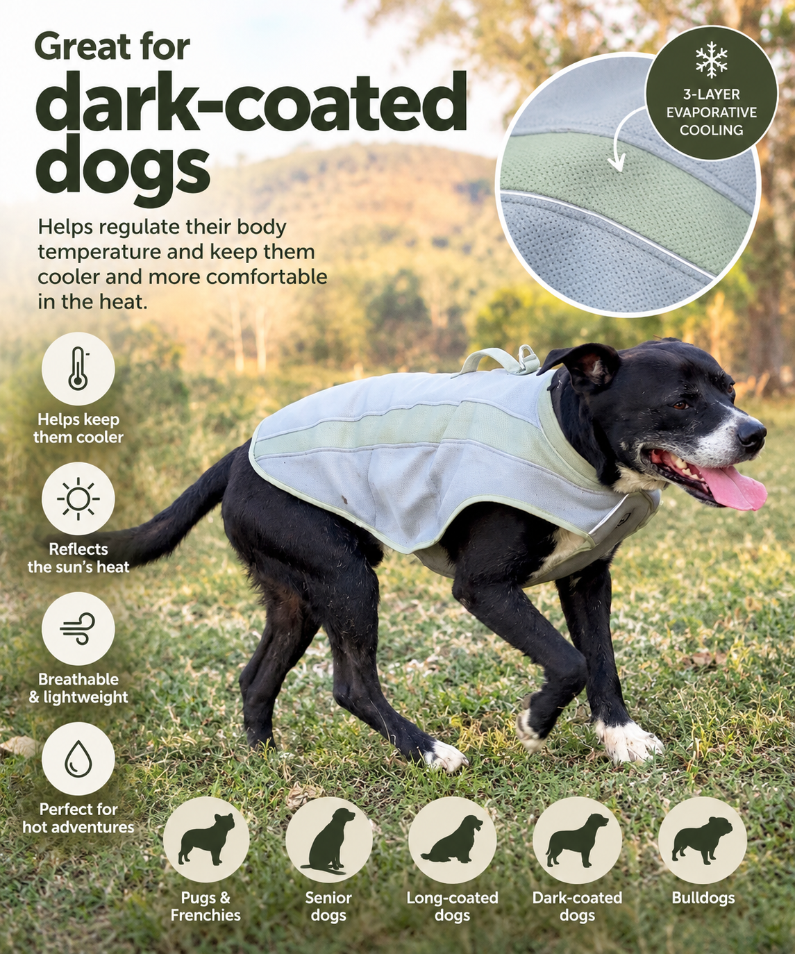 A black and white dog walking outdoors on grass while wearing a light gray cooling vest. The image includes marketing text for 'dark-coated dogs,' feature icons, a circular inset showing the 3-layer evaporative cooling fabric, and dog breed callouts at the bottom.