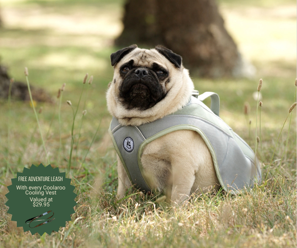 Coolaroo Cooling Vest