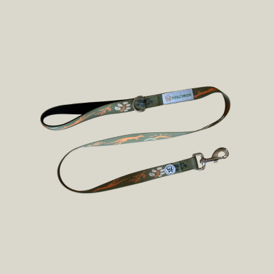 Summer Adventure Bundle