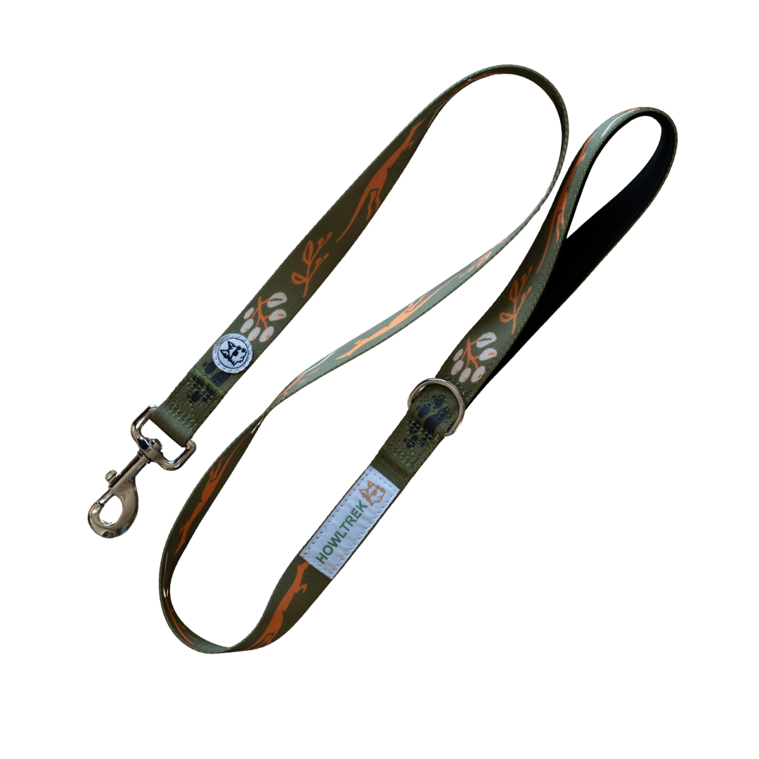 [FREE] Adventure Dog Leash