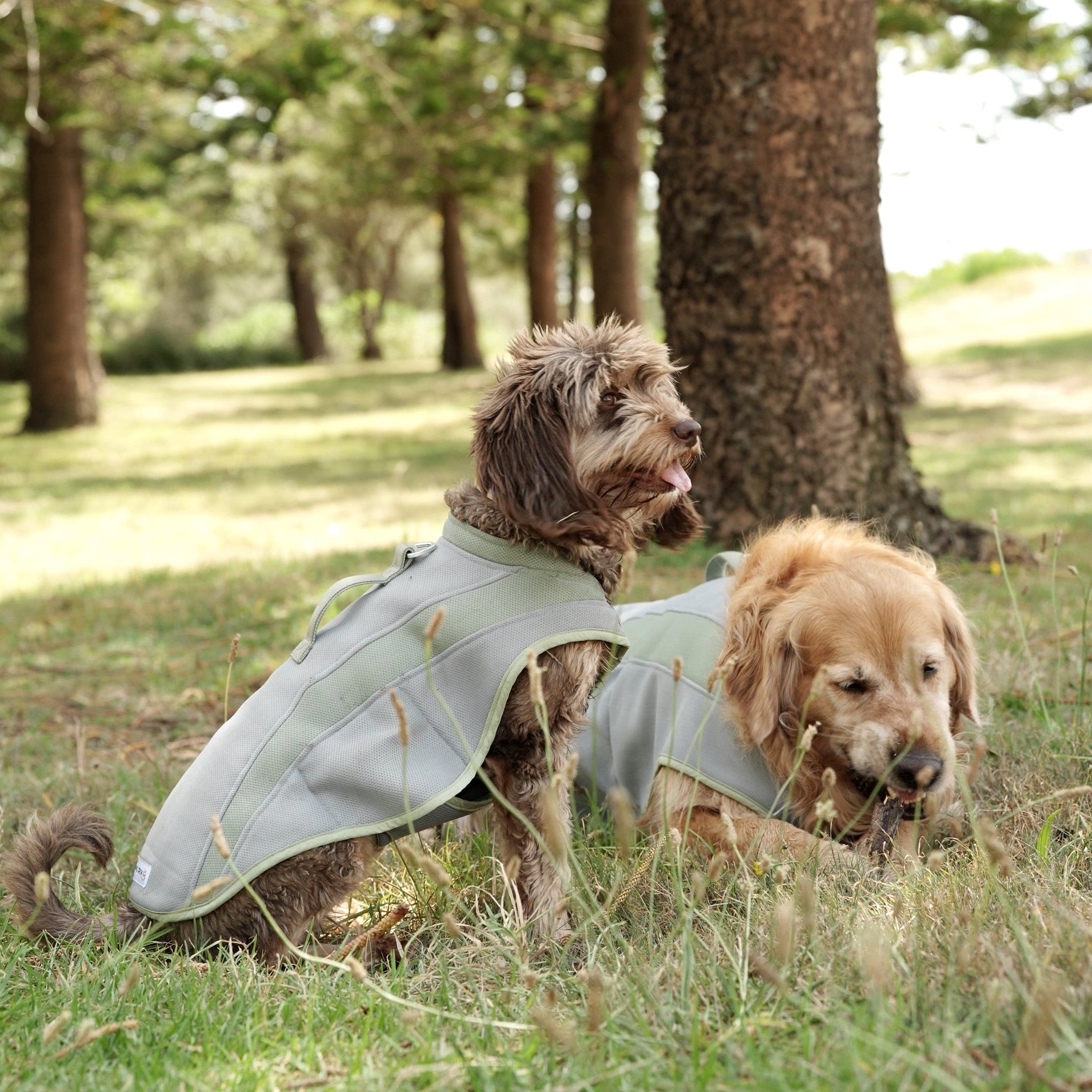 Coolaroo Cooling Vest