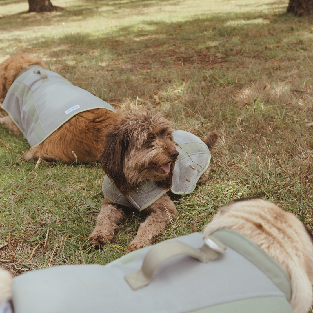 Coolaroo Cooling Vest.