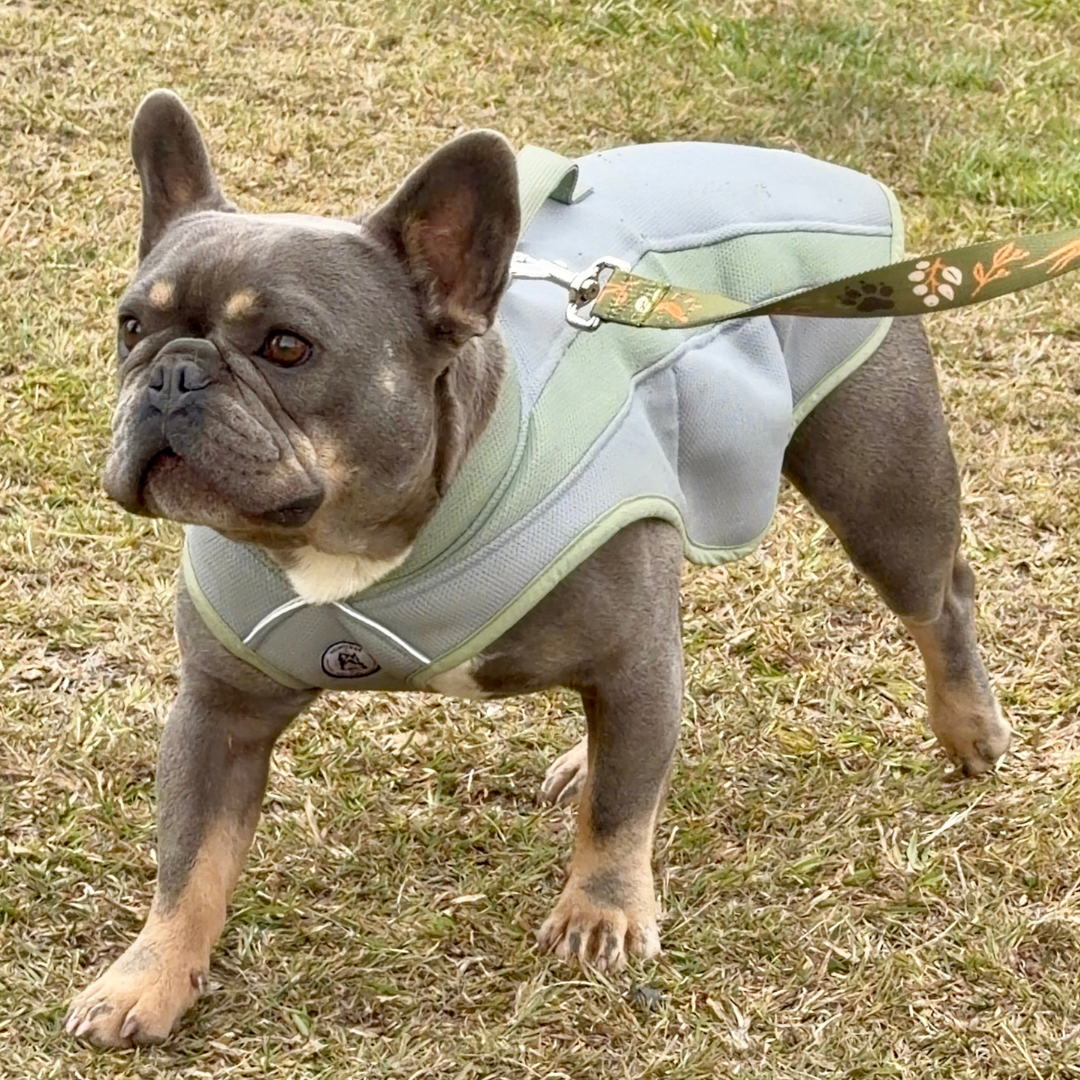 Coolaroo Cooling Vest.